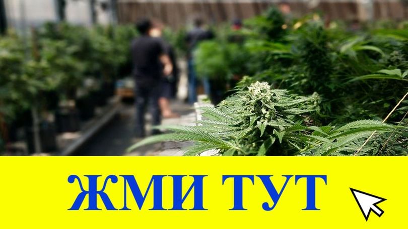 Купить наркотики в Юже